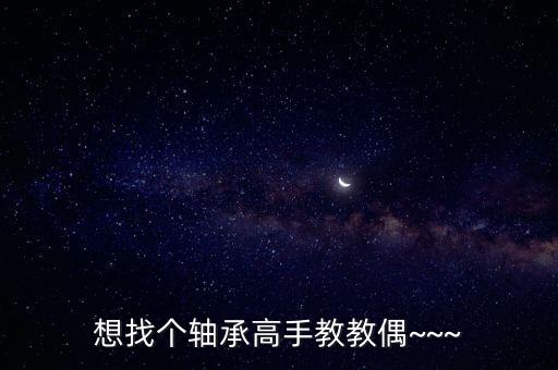 想找個(gè)軸承高手教教偶~~~