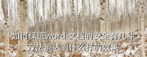如何保證word 文檔的安全有幾種方法能達(dá)到什么樣的效果