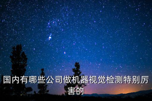國內(nèi)有哪些公司做機器視覺檢測特別厲害的