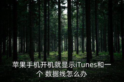 蘋果手機(jī)開機(jī)就顯示iTunes和一個(gè) 數(shù)據(jù)線怎么辦