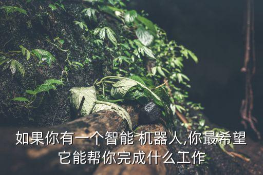 如果你有一個(gè)智能 機(jī)器人,你最希望它能幫你完成什么工作