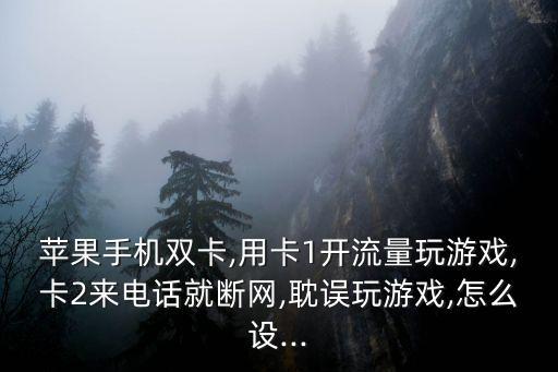 蘋(píng)果手機(jī)雙卡,用卡1開(kāi)流量玩游戲,卡2來(lái)電話(huà)就斷網(wǎng),耽誤玩游戲,怎么設(shè)...