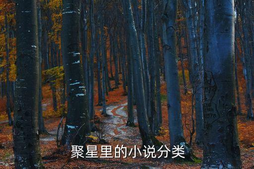  聚星里的小說分類