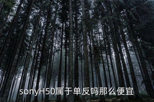 sonyH50屬于單反嗎那么便宜