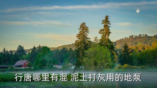 行唐哪里有混 泥土打灰用的地泵