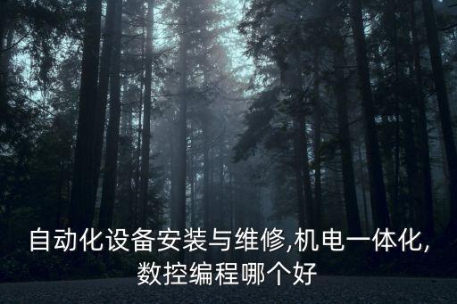 自動化設備安裝與維修,機電一體化,數控編程哪個好