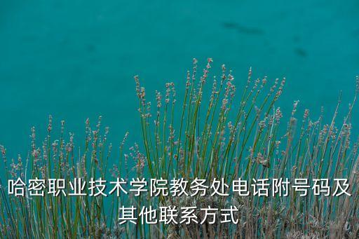 哈密職業(yè)技術(shù)學院教務處電話附號碼及其他聯(lián)系方式