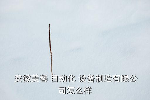 安徽常見自動化設(shè)備,安徽和博自動化設(shè)備有限公司
