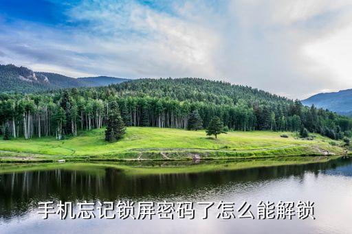 手機(jī)忘記鎖屏密碼了怎么能解鎖