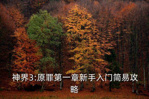  神界3:原罪第一章新手入門簡易攻略