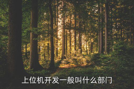 上位機(jī)開發(fā)一般叫什么部門