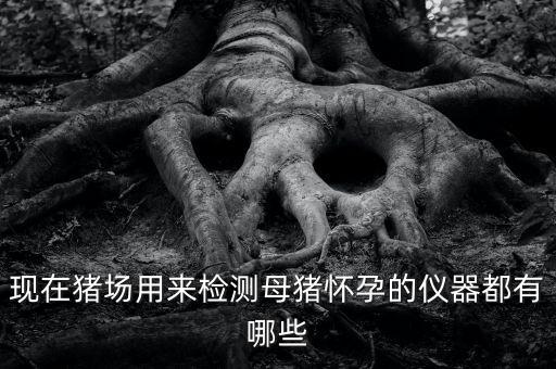 現(xiàn)在豬場(chǎng)用來(lái)檢測(cè)母豬懷孕的儀器都有哪些