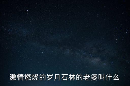 激情燃燒的歲月石林的老婆叫什么