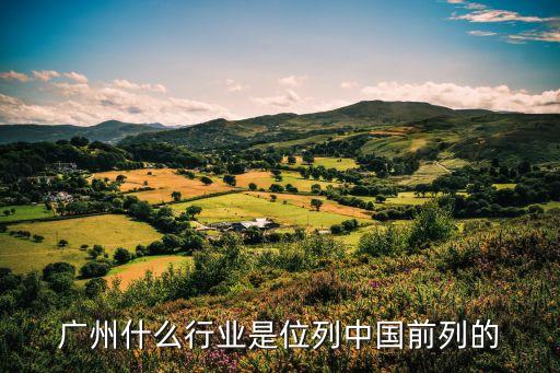廣州什么行業(yè)是位列中國前列的