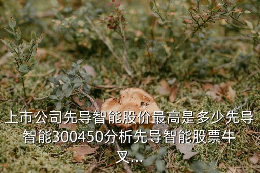 上市公司先導(dǎo)智能股價最高是多少先導(dǎo)智能300450分析先導(dǎo)智能股票牛叉...