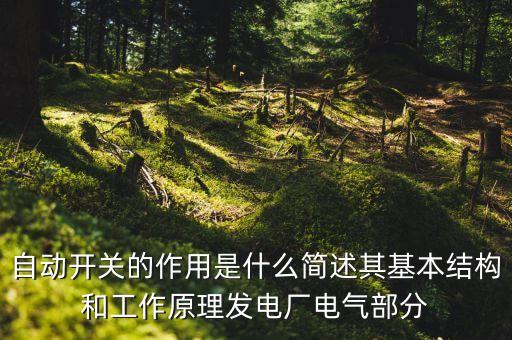 自動(dòng)開(kāi)關(guān)的作用是什么簡(jiǎn)述其基本結(jié)構(gòu)和工作原理發(fā)電廠電氣部分