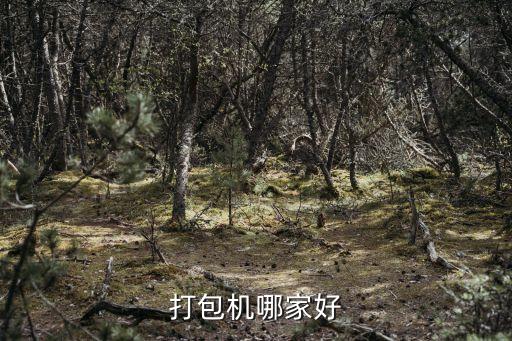打包機哪家好
