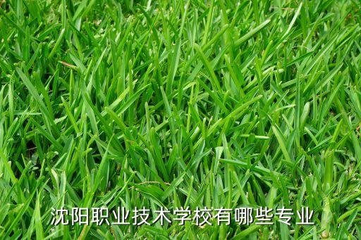 沈陽有跟電氣自動化,沈陽職業(yè)技術(shù)學院電氣自動化專業(yè)