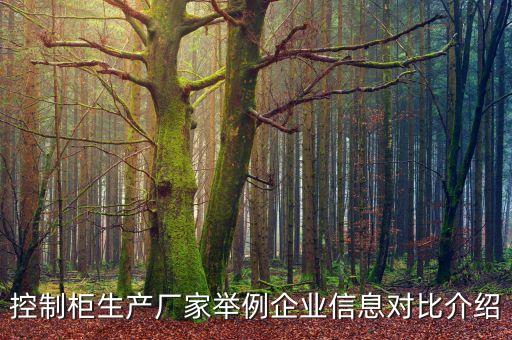 控制柜生產(chǎn)廠家舉例企業(yè)信息對(duì)比介紹