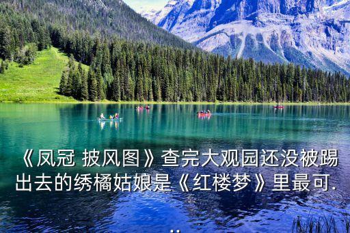 《鳳冠 披風(fēng)圖》查完大觀園還沒被踢出去的繡橘姑娘是《紅樓夢》里最可...