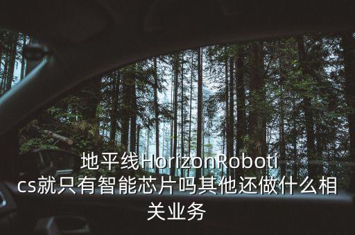  地平線HorizonRobotics就只有智能芯片嗎其他還做什么相關(guān)業(yè)務(wù)