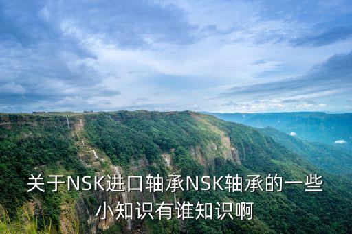 關(guān)于NSK進(jìn)口軸承NSK軸承的一些小知識(shí)有誰(shuí)知識(shí)啊