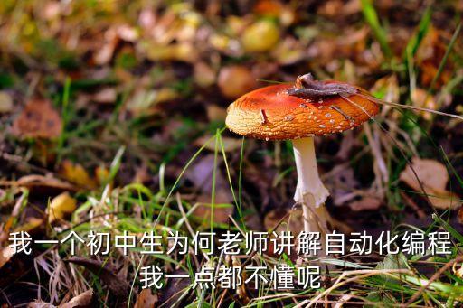我一個初中生為何老師講解自動化編程我一點都不懂呢