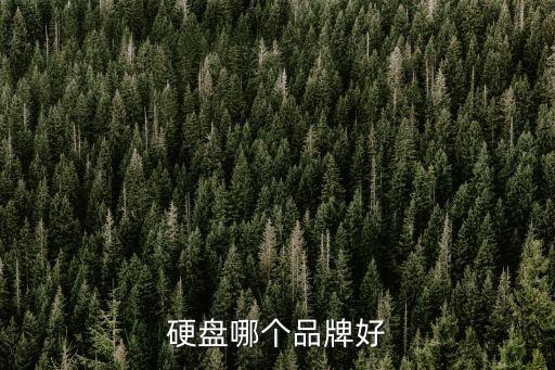 希捷是哪個(gè)國家的品牌,西數(shù)和希捷是哪個(gè)國家的品牌?
