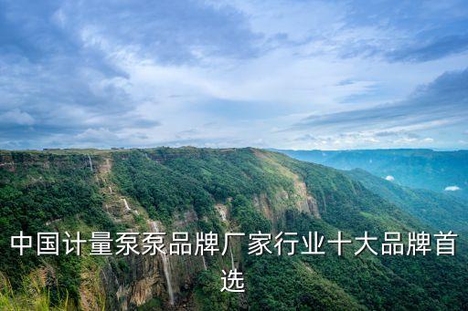 全自動(dòng)化計(jì)量泵一體化設(shè)備,自動(dòng)化設(shè)備包括哪些?