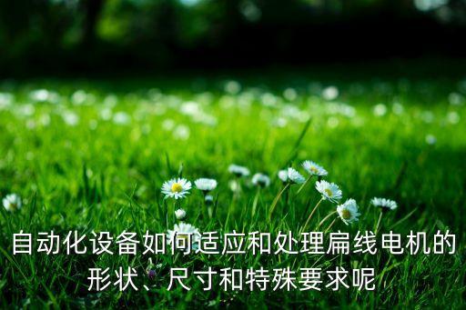 自動化設(shè)備如何適應(yīng)和處理扁線電機的形狀、尺寸和特殊要求呢