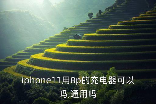 iphone11用8p的充電器可以嗎,通用嗎