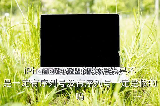 iPhone7或7P的 數據線是不是一定有序列號沒有序列號一定是假的嗎
