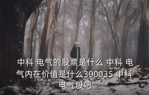 中科電氣自動化,安徽中科電氣自動化有限公司