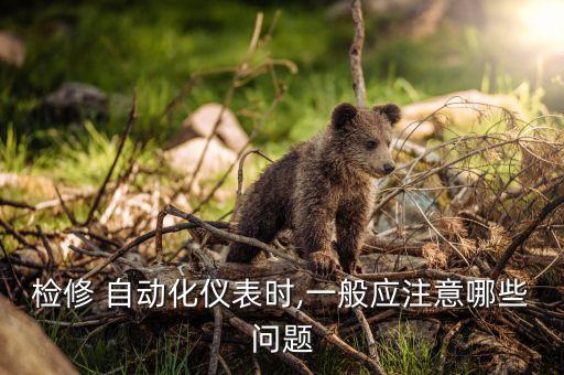 檢修 自動化儀表時,一般應(yīng)注意哪些問題