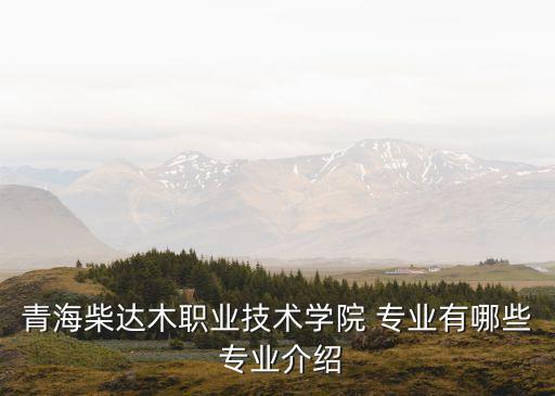 青海柴達(dá)木職業(yè)技術(shù)學(xué)院 專業(yè)有哪些 專業(yè)介紹