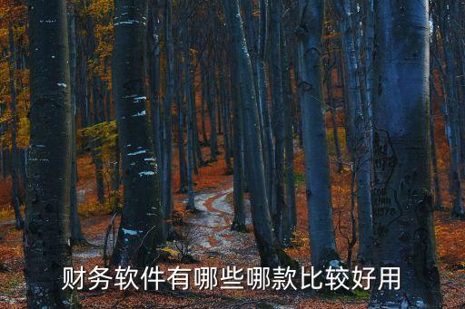 財務軟件有哪些哪款比較好用