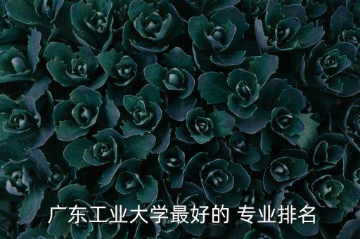  廣東工業(yè)大學(xué)最好的 專業(yè)排名