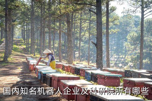 國內(nèi)知名機(jī)器人企業(yè)及科研院所有哪些
