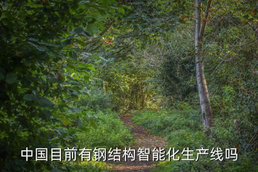 中國目前有鋼結(jié)構(gòu)智能化生產(chǎn)線嗎