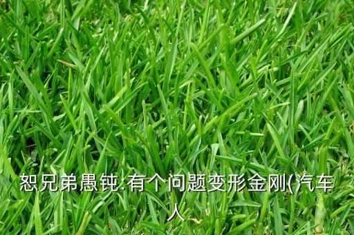 恕兄弟愚鈍:有個問題變形金剛(汽車人