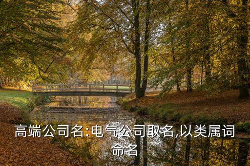 高端公司名:電氣公司取名,以類(lèi)屬詞命名