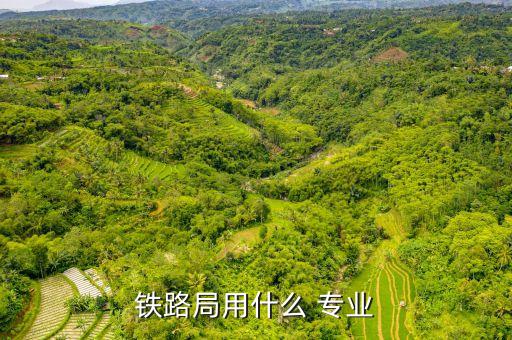 中鐵電氣化局招自動(dòng)化專業(yè)嗎