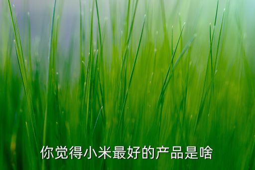 你覺(jué)得小米最好的產(chǎn)品是啥