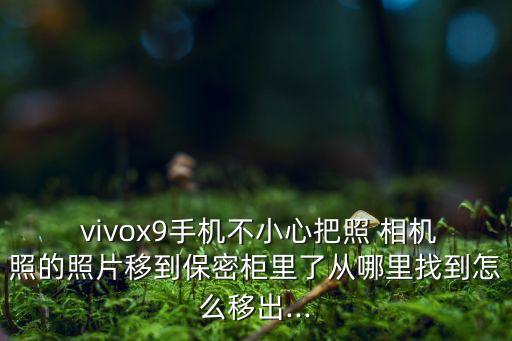  vivox9手機(jī)不小心把照 相機(jī)照的照片移到保密柜里了從哪里找到怎么移出...