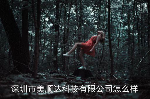 深圳市美順達(dá)科技有限公司怎么樣
