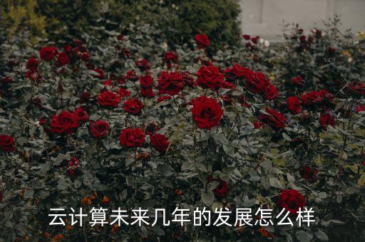 云計算未來幾年的發(fā)展怎么樣