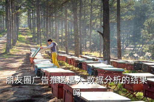 朋友圈廣告推送是大 數(shù)據(jù)分析的結(jié)果嗎