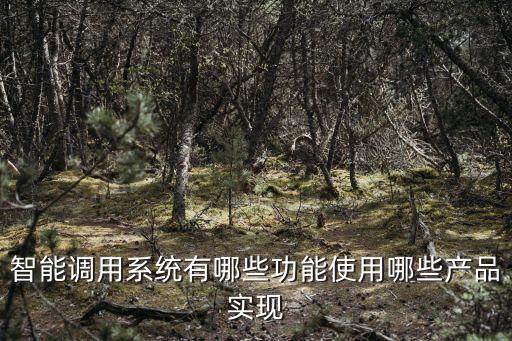 智能調(diào)用系統(tǒng)有哪些功能使用哪些產(chǎn)品實(shí)現(xiàn)
