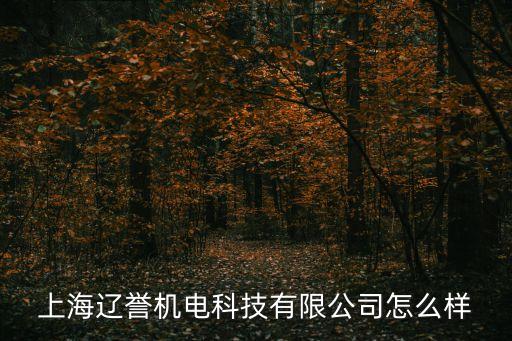 錦宏自動化設(shè)備怎么樣,什么叫非標(biāo)自動化設(shè)備?