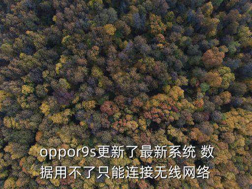  oppor9s更新了最新系統(tǒng) 數(shù)據(jù)用不了只能連接無線網(wǎng)絡(luò)